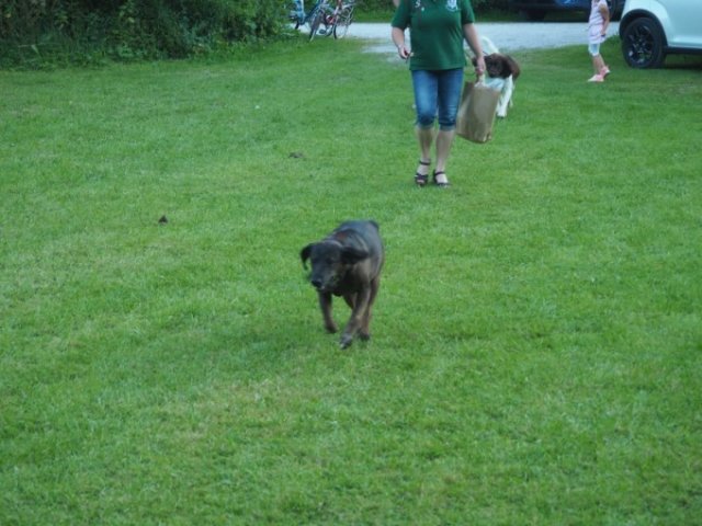 Kaiserschießen 2019